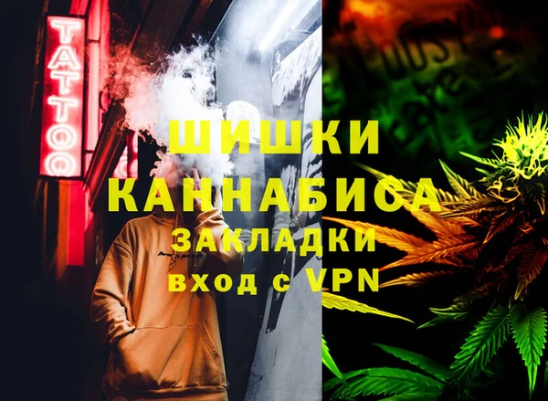 стафф Алзамай