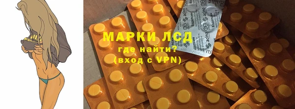 стафф Алзамай