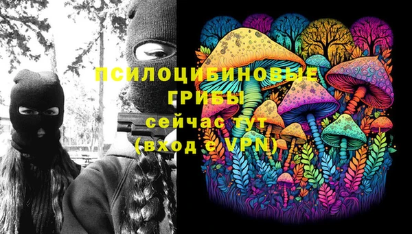 бошки Алексин