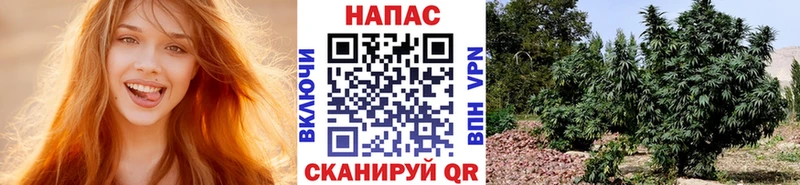 Бошки Шишки AK-47  сайты даркнета клад  Почеп 